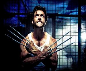 yapboz Wolverine bir mutant süper kahraman ve bir X-Men karınca biridir New Avengers